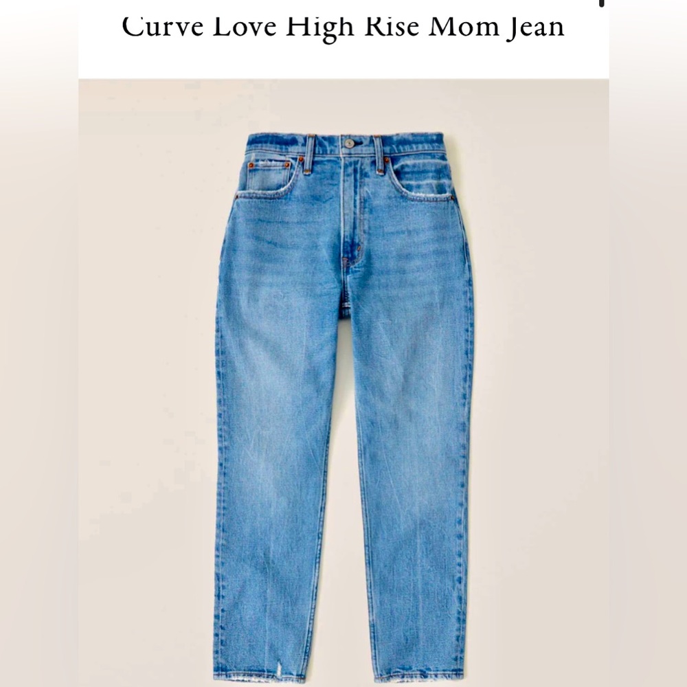 Abercrombie & Fitch Curve Love Mom Jeans Size 27 / 4S